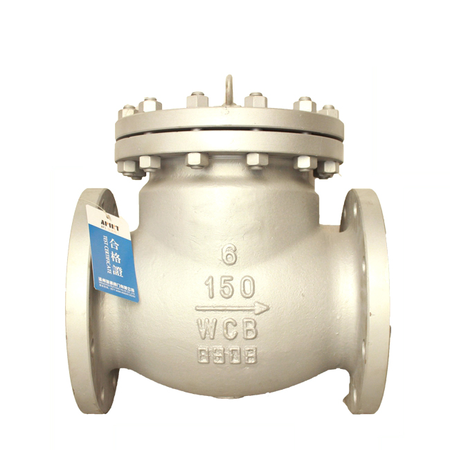 Swing type American standard check valve