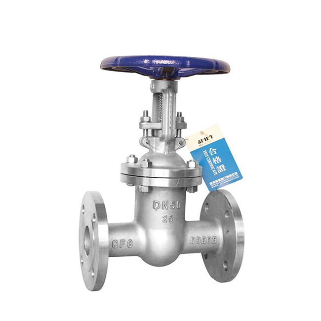 Stainless steel gate valve