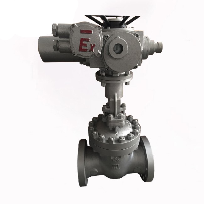 Z941 electric gate valve