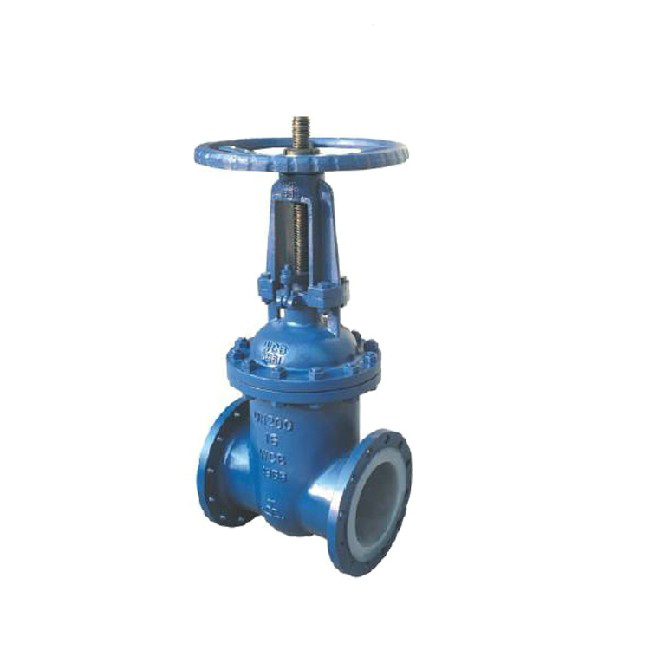 Fluorine lined gate valve